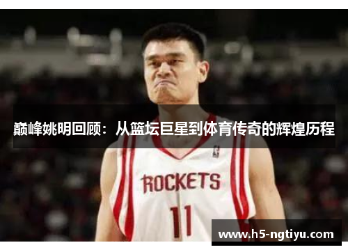 巅峰姚明回顾：从篮坛巨星到体育传奇的辉煌历程