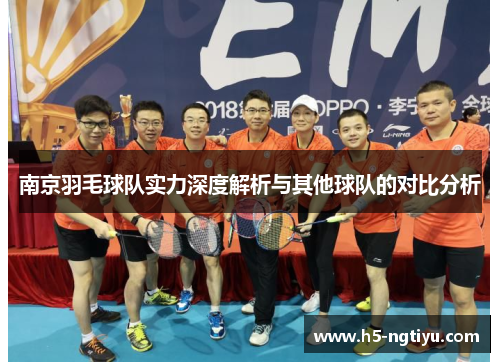南京羽毛球队实力深度解析与其他球队的对比分析