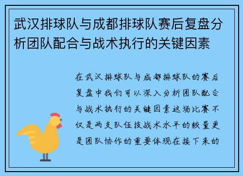 武汉排球队与成都排球队赛后复盘分析团队配合与战术执行的关键因素