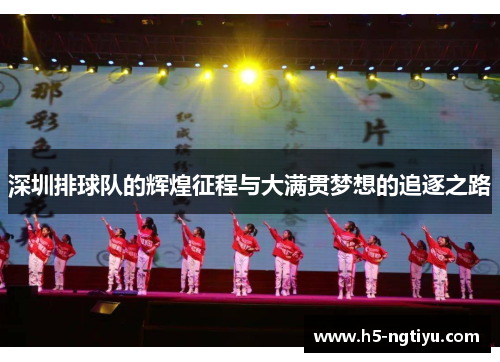 深圳排球队的辉煌征程与大满贯梦想的追逐之路